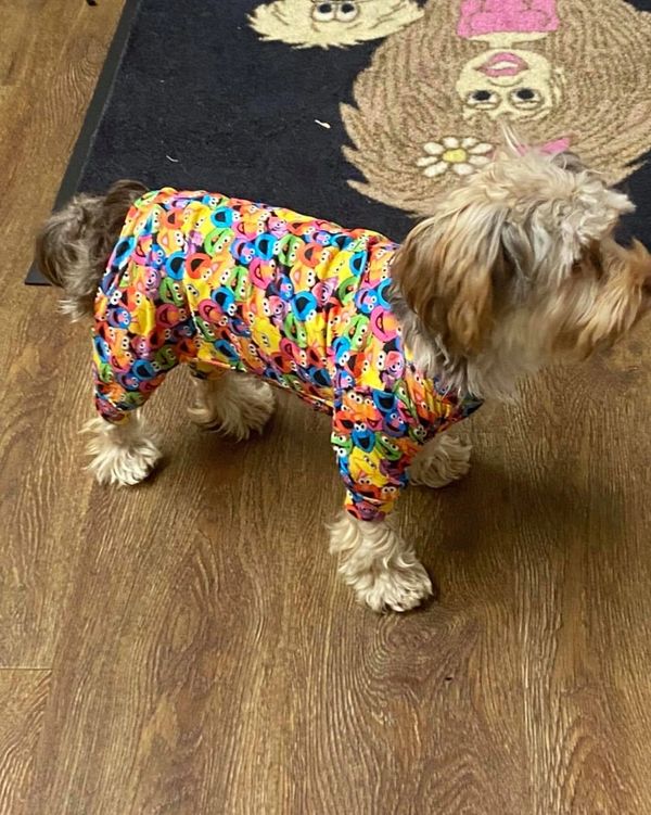 The Posh Pet Boutique Dog Clothes, Dog Boutique